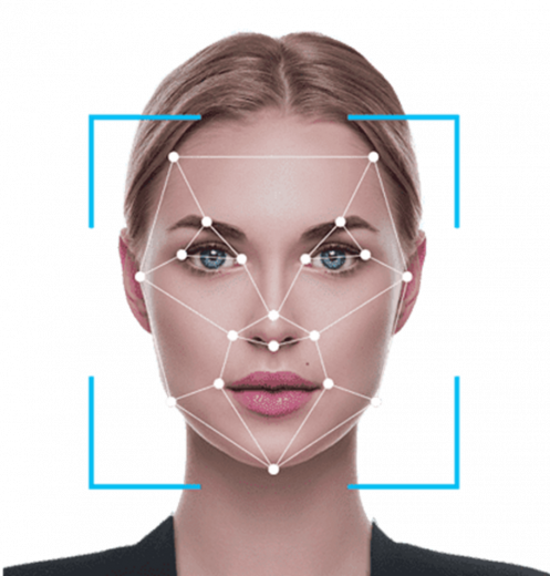 Программный комплекс биометрической идентификации StareFace
